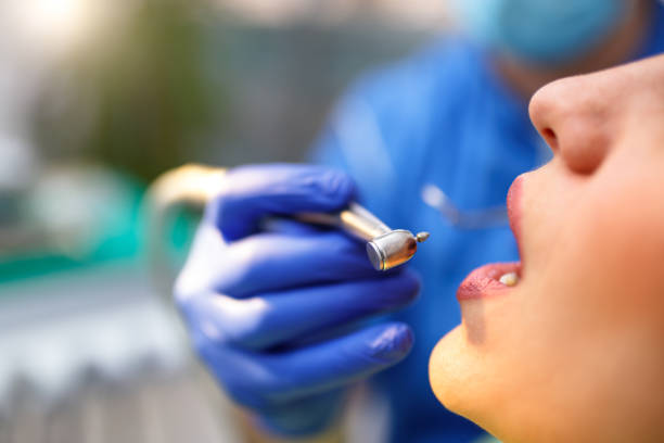 Trusted West Wyoming, PA  Holistic Dental Services Experts